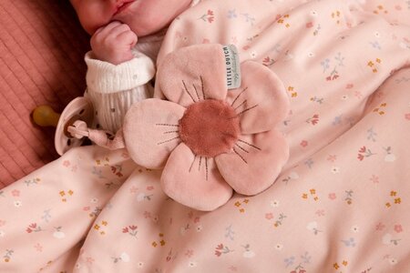 little dutch speendoekje