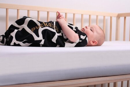 puckababy inbakerdoek