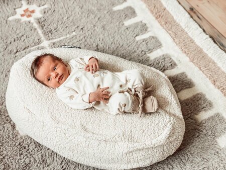 snoozz voedingskussen hoes