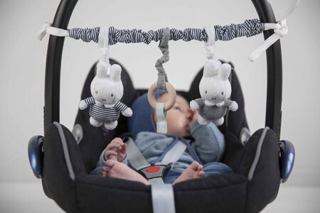 nijntje wagenspanner